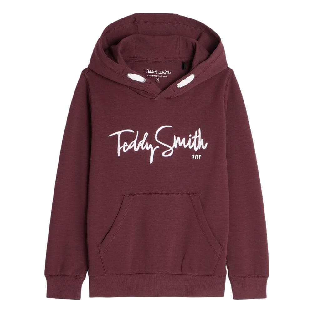 Sweat à Capuche Bordeaux Garçon Teddy Smith Evry1 1