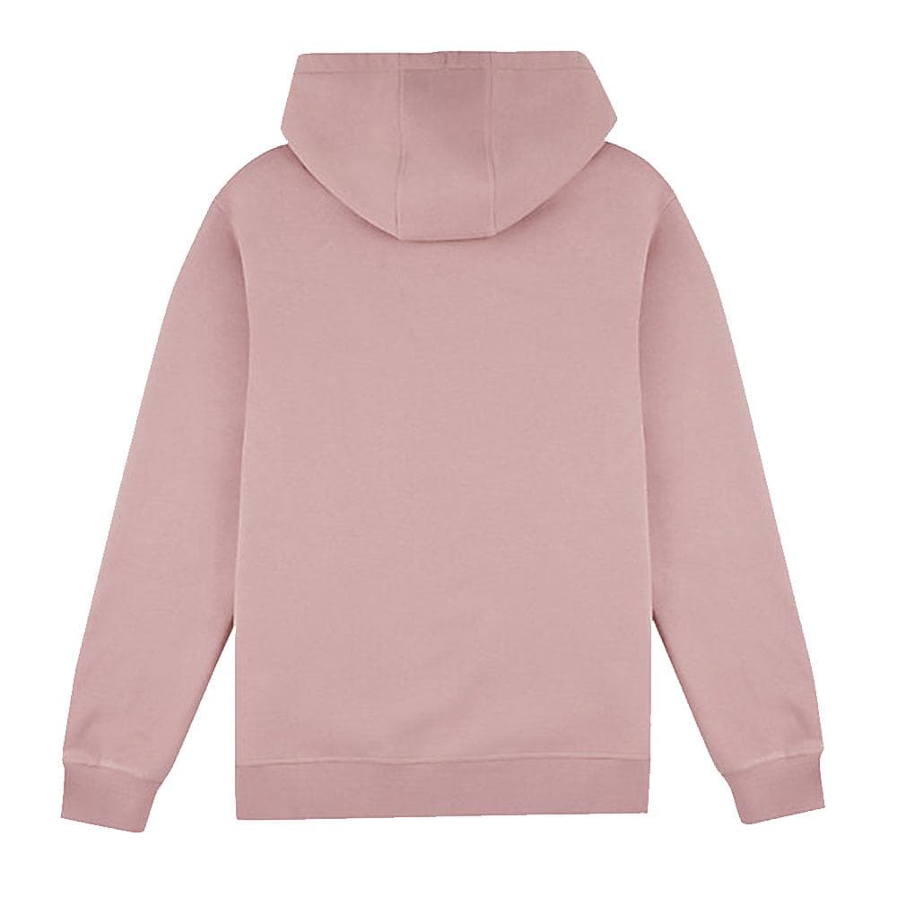 Sweat à Capuche Rose Homme Teddy Smith nark Hoody 2