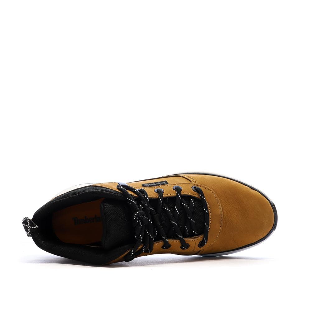 Baskets Camel Homme Timberland Field Trekker Lox 4