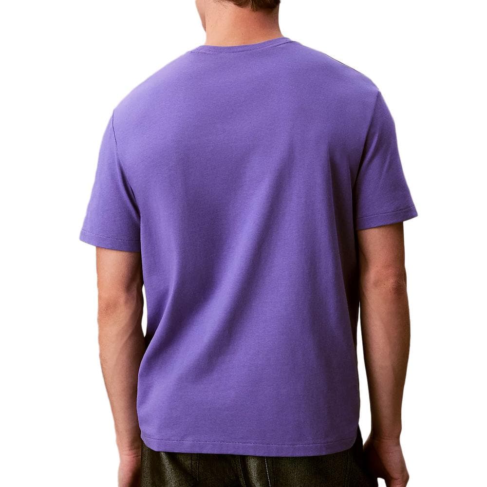 T-Shirt Violet Homme Calvin Klein Jeans Easy LV04RC275G 2
