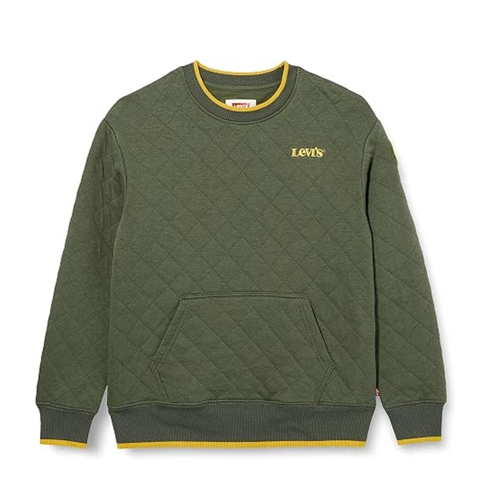 Sweat Kaki Garçon Levi's 8ED538 1