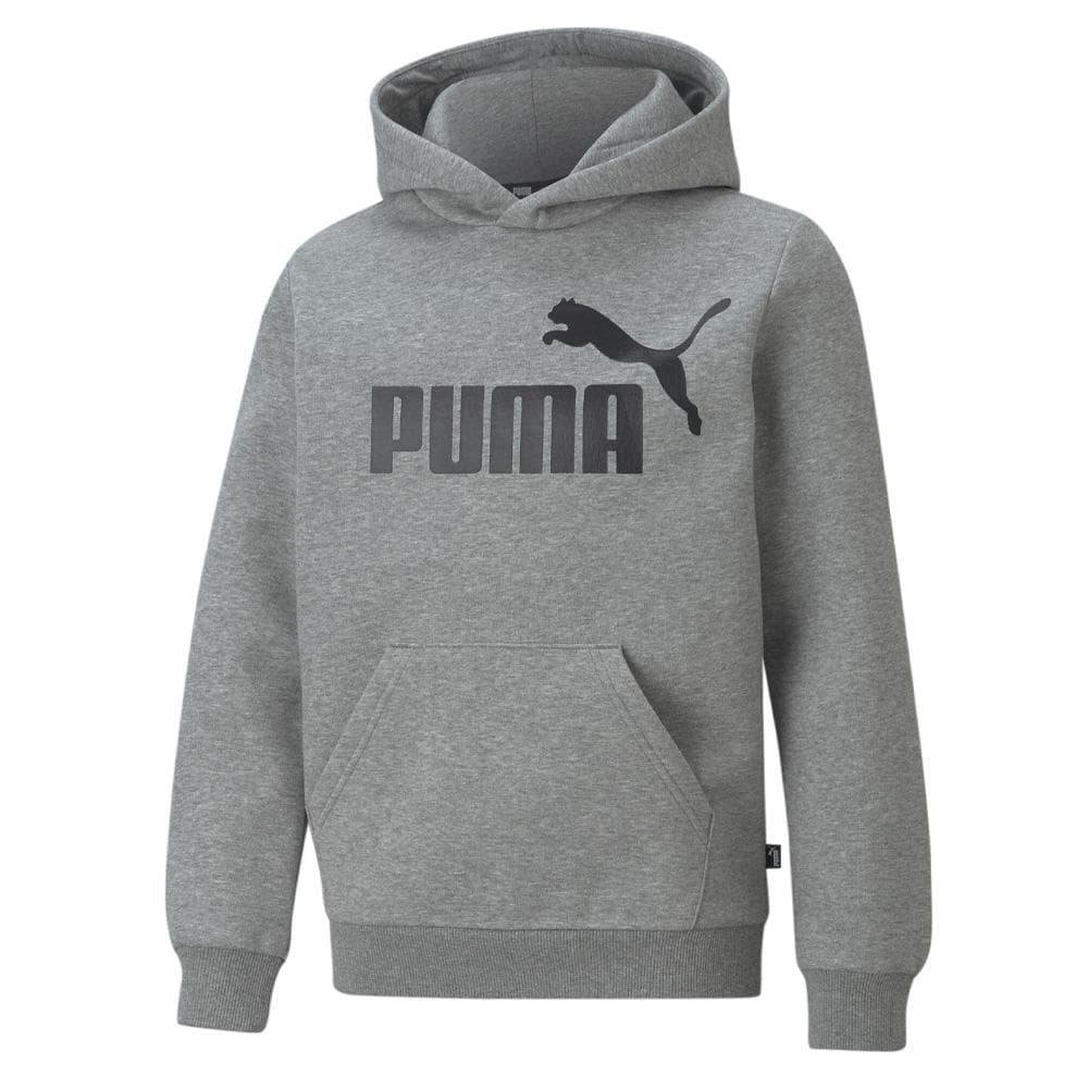 Sweat Gris Garçon Puma Hoodie 1