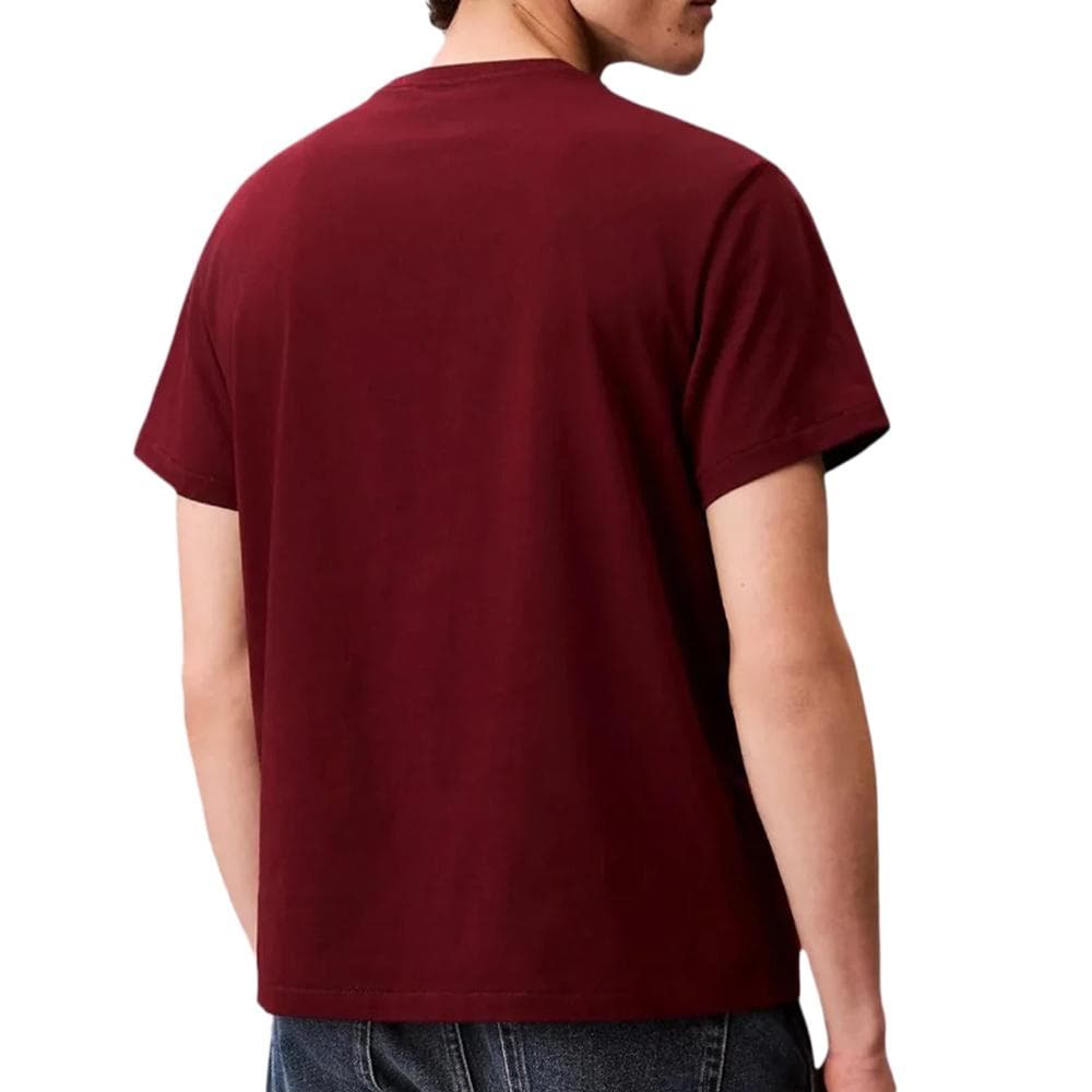 T-Shirt Rouge Homme Calvin Klein Jeans Easy LV04RC275G 2