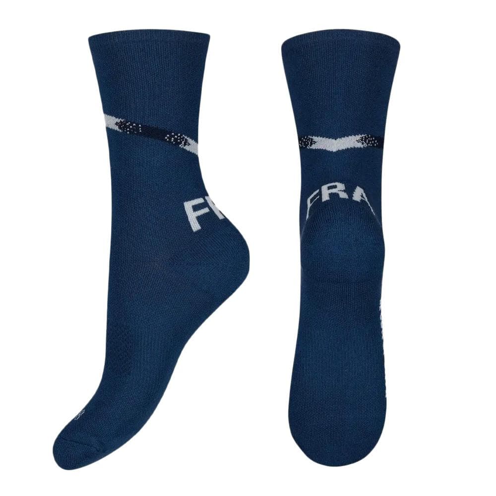Paire de chaussettes Marine Homme Le Coq Sportif Erfp 1
