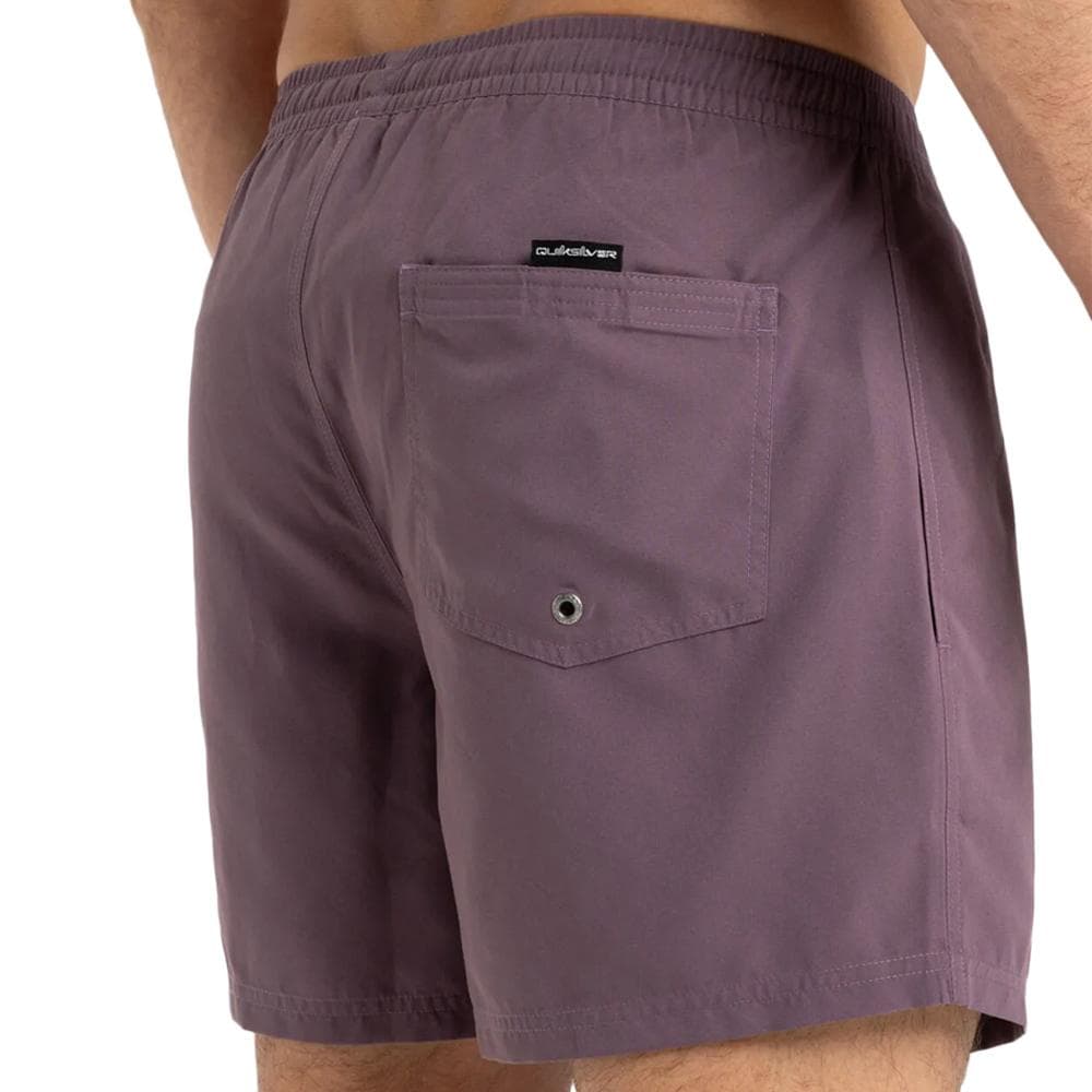 Short de Bain Prune Homme Quiksilver Solid 15 2