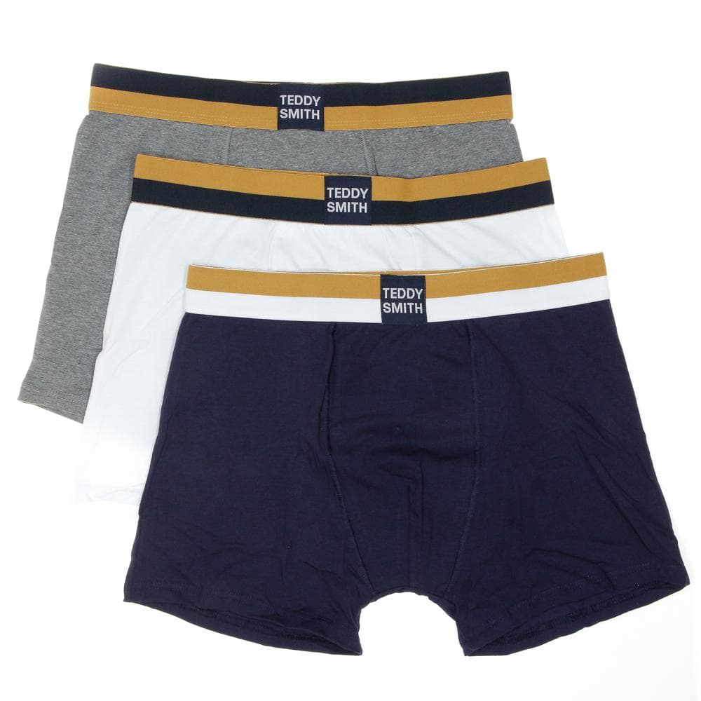 Lot de 3 Boxers Marine/Blanc/Gris Homme Teddy Smith 1TS/52/9 1