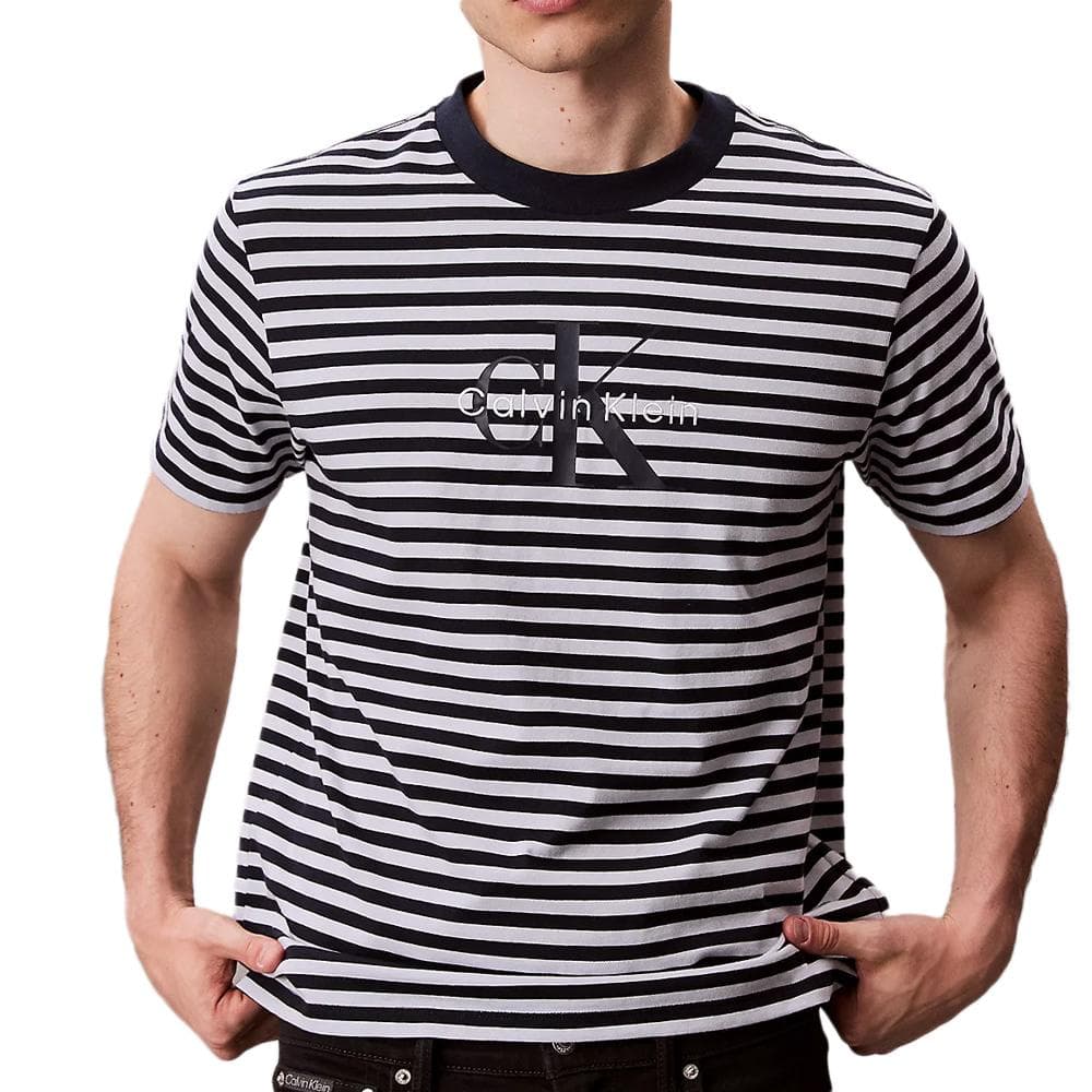 T-Shirt à Rayure Bleu/Gris Homme Calvin Klein Jeans 20s Stripe 1
