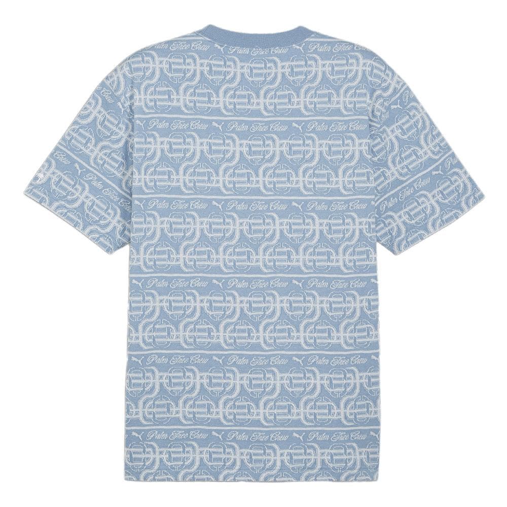 T-shirt Bleu Homme Puma X Ptc Striped 2