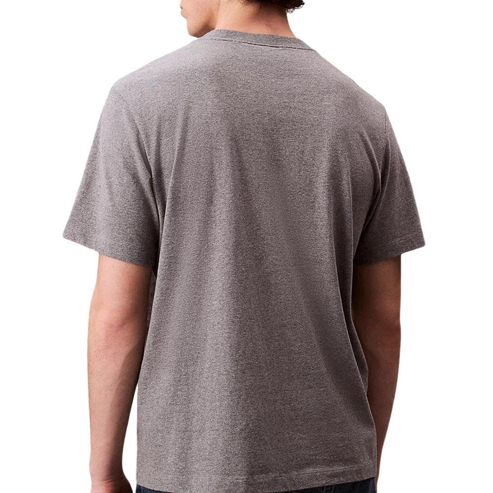 T-Shirt Gris Homme Calvin Klein Jeans Easy LV04RC275G 2
