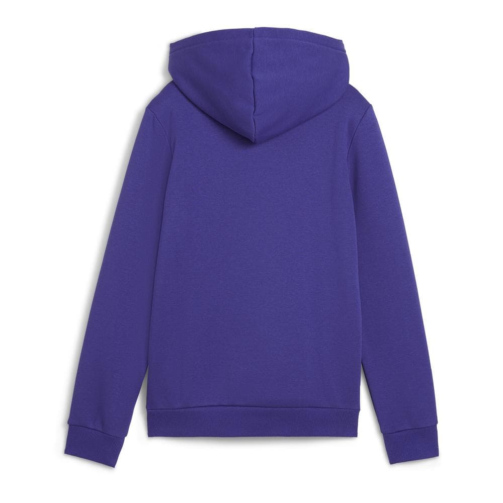 Sweat à Capuche Violet Garçon Puma Ess+ Camo 2