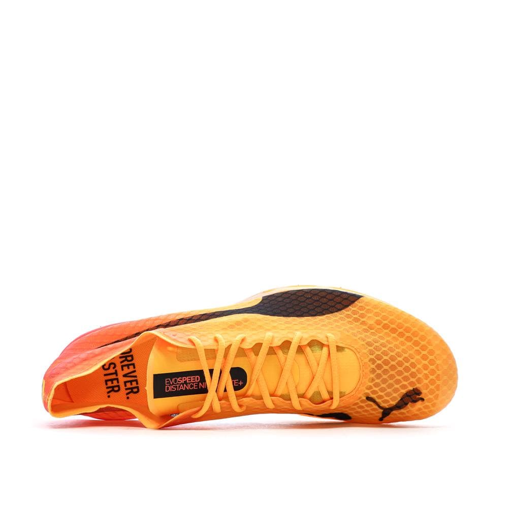 Chaussures d'athlétismes Orange Homme Puma Evospeed Distance Nitro Elite 4