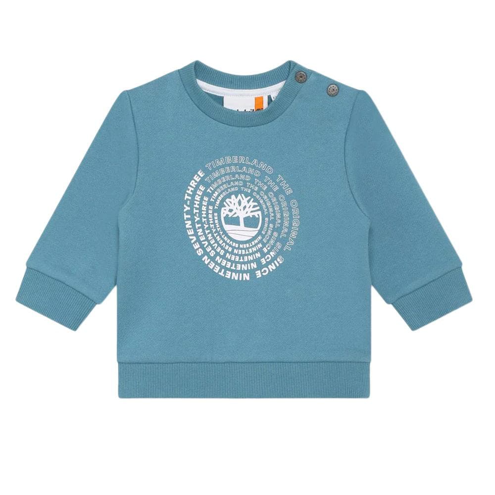 Sweat Bleu Garçon Timberland T60008 1