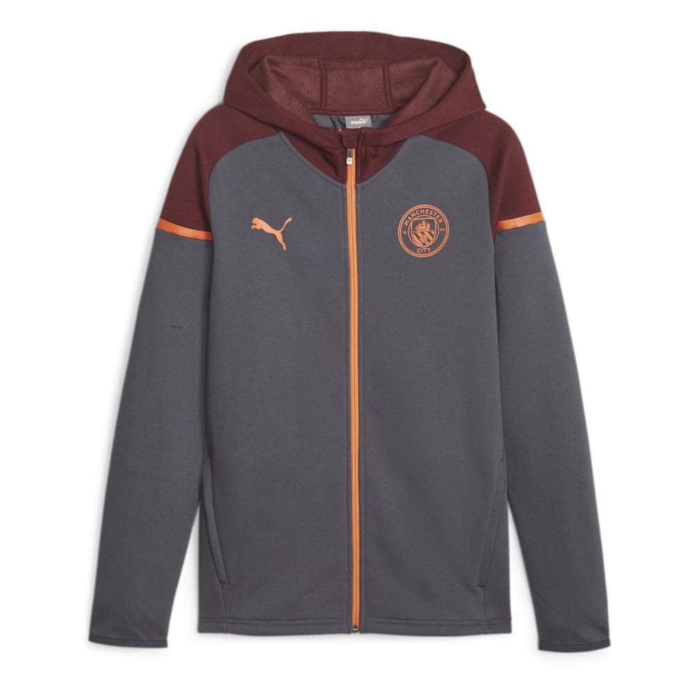 Manchester City Sweat Zippé Grise Homme Puma Casuals Hooded 1