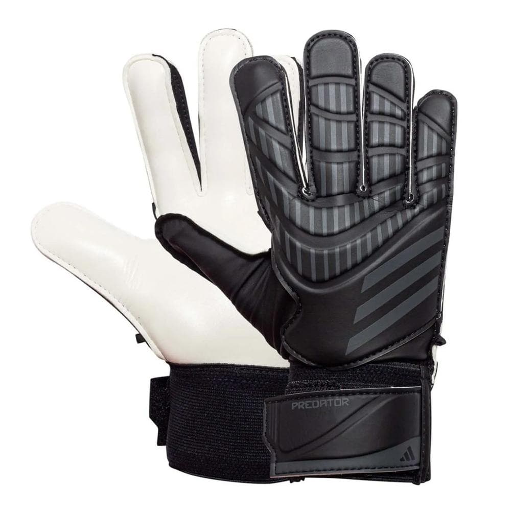 Gants de Gardien Noir Homme Adidas Predator 1