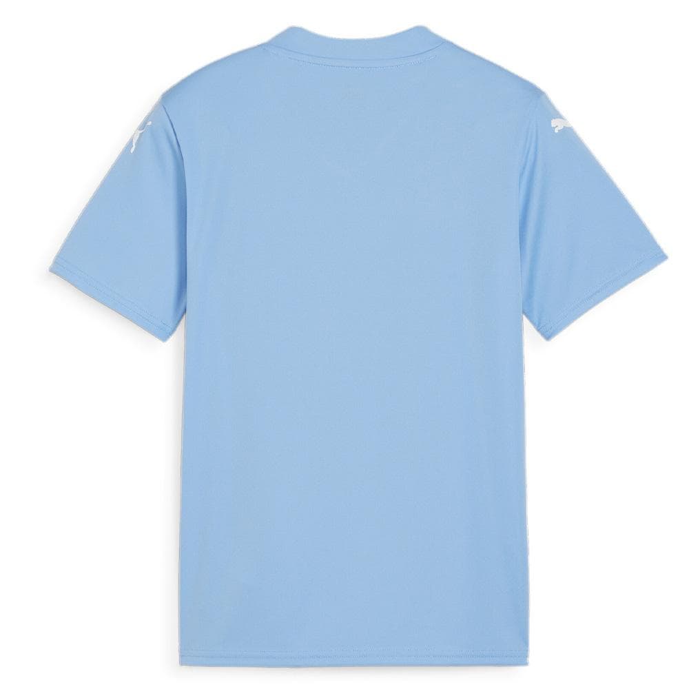 Maillot de football Bleu Garçon Puma Teamglory Jersey Jr 2