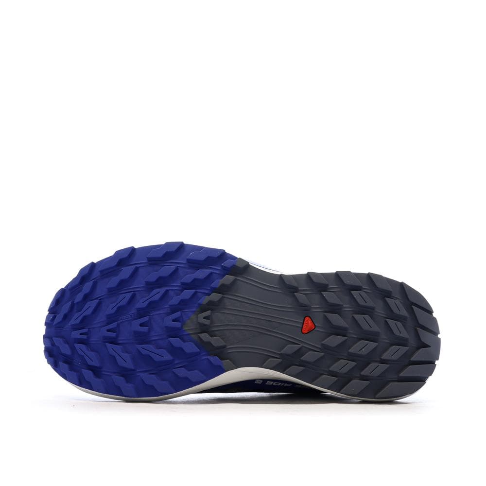 Chaussures de Trail Gris/Bleu Homme Salomon Sense Ride 5 5