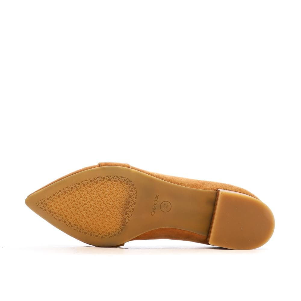 Mocassins Marron Femme Geox Charyssa 5