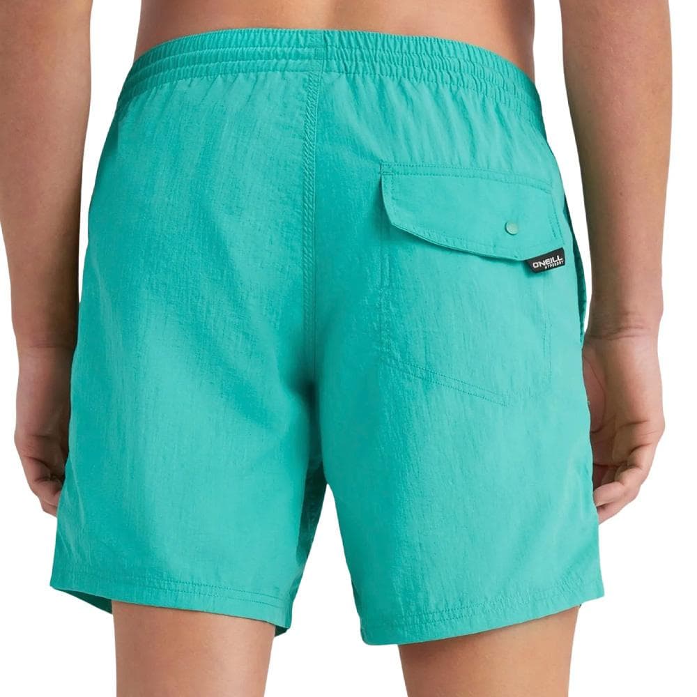 Maillot de bain Turquoise Homme O'Neill Swim 2