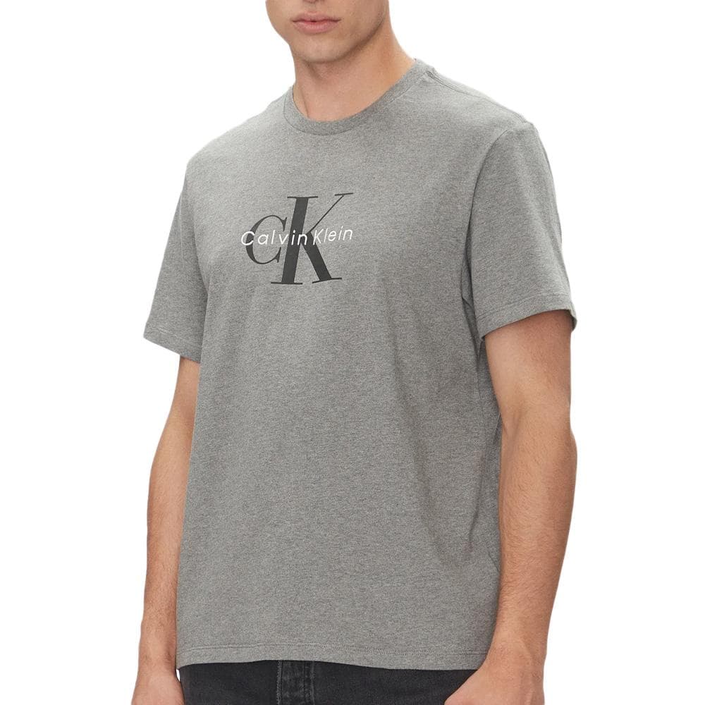 T-Shirt Gris Homme Calvin Klein Jeans Hero 1