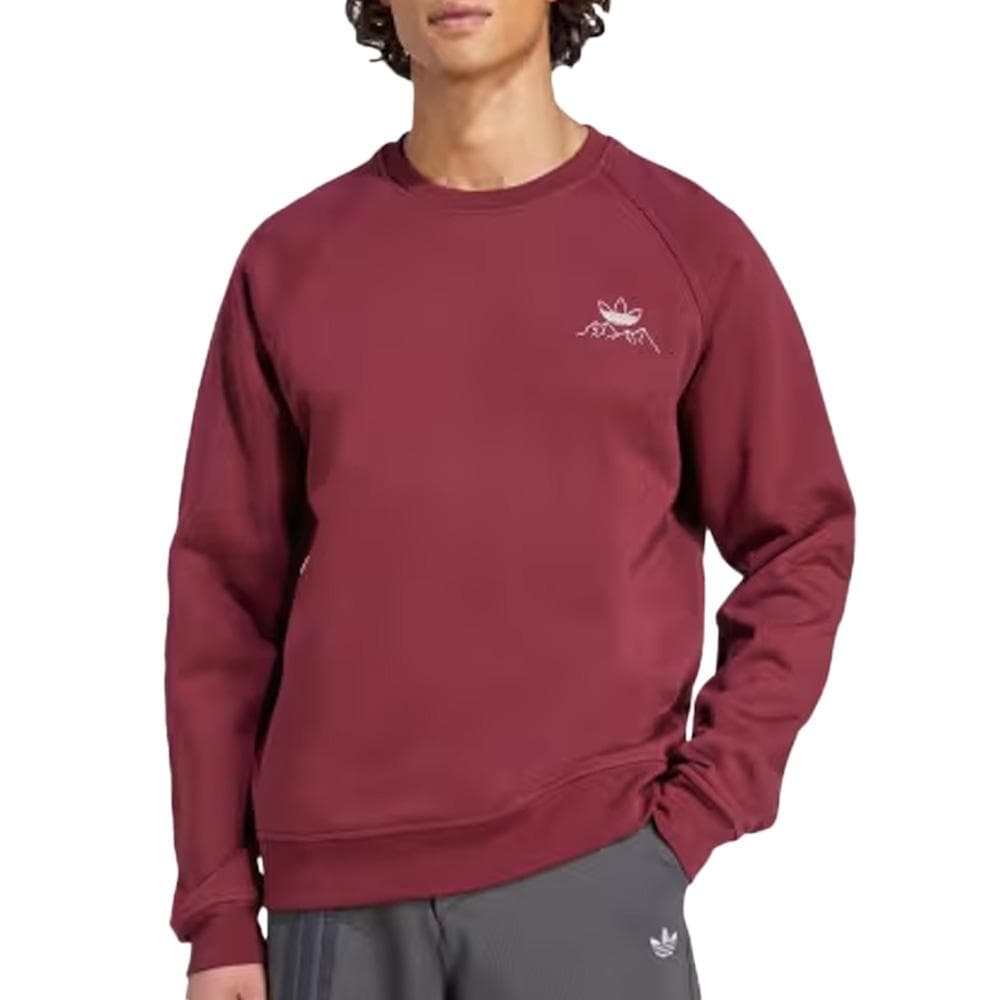Sweat Rouge Homme Adidas Mountaingfx 1