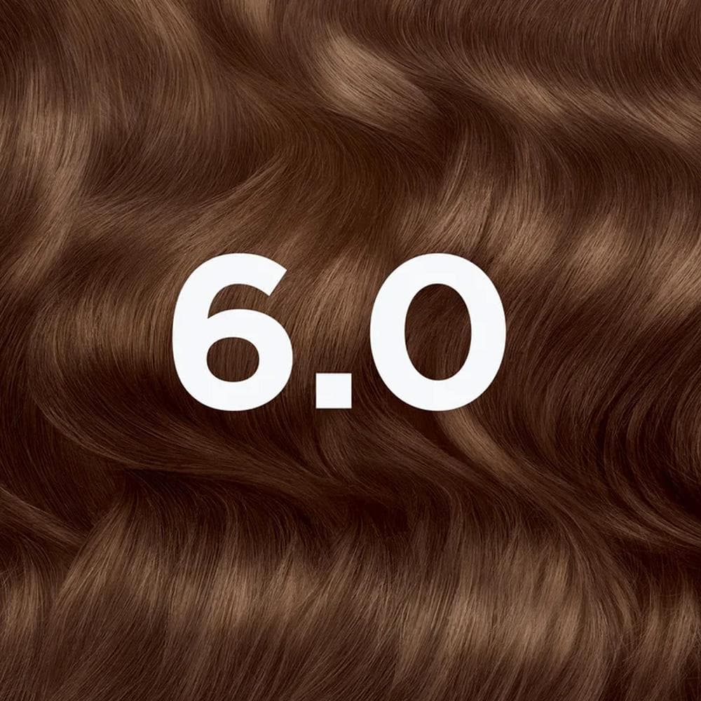 Coloration Mocha Brown Femme Garnier 6.0 3