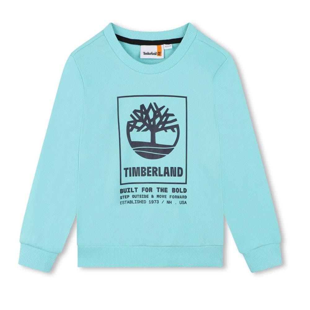 Sweat Bleu Garçon Timberland T60075 1