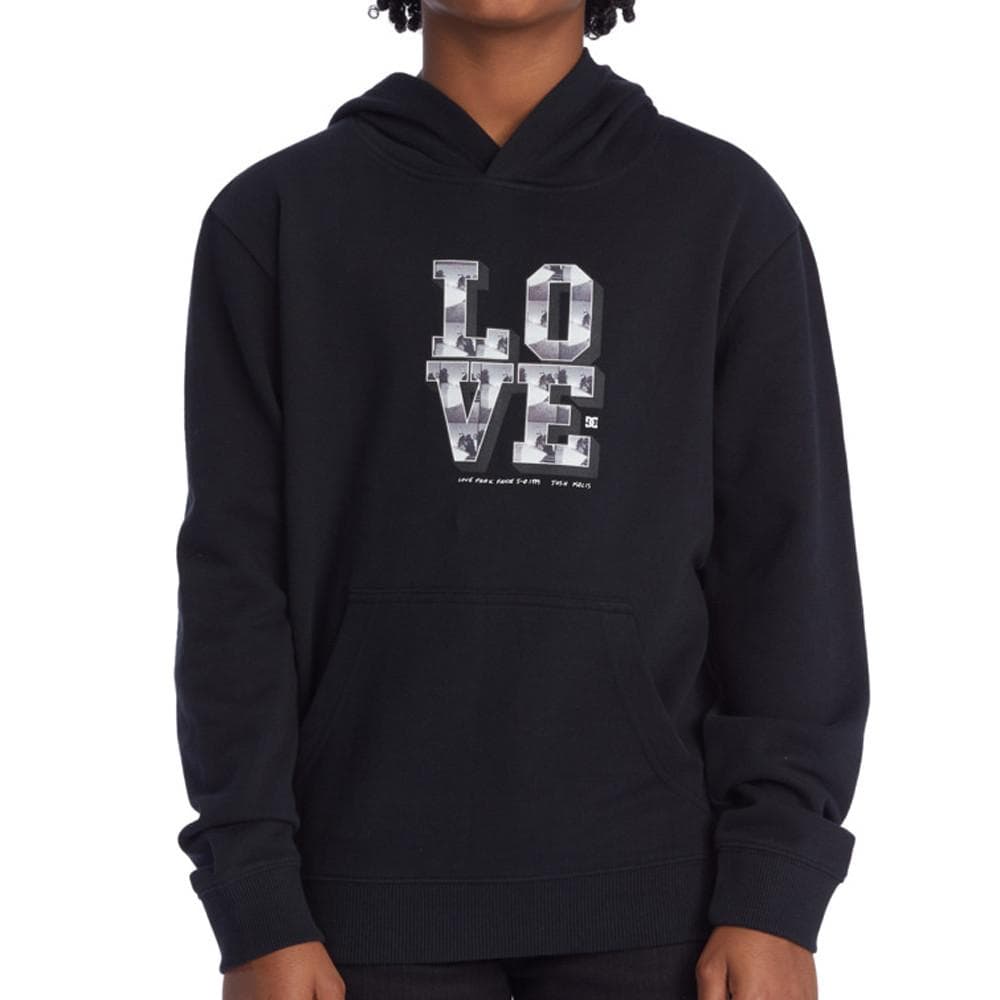 Sweat à Capuche Noir Garçon Dc shoes Blabac 1