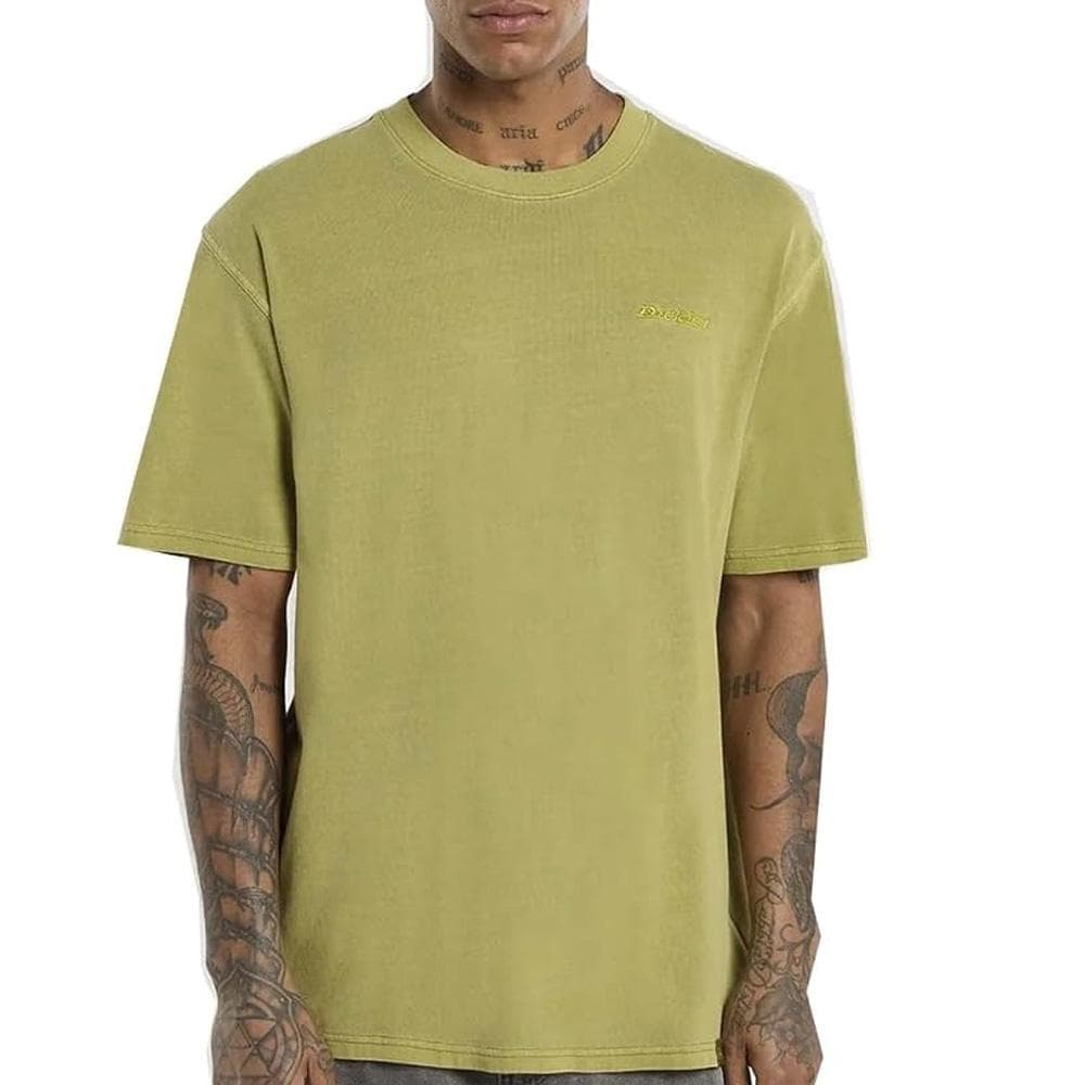 T-shirt Vert Homme Dickies Plentywood 1
