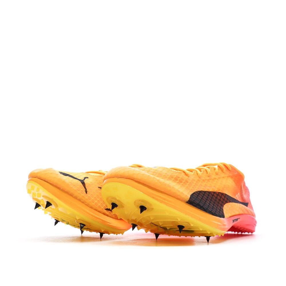 Chaussures d'athlétismes Orange Homme Puma Evospeed Distance Nitro Elite 5