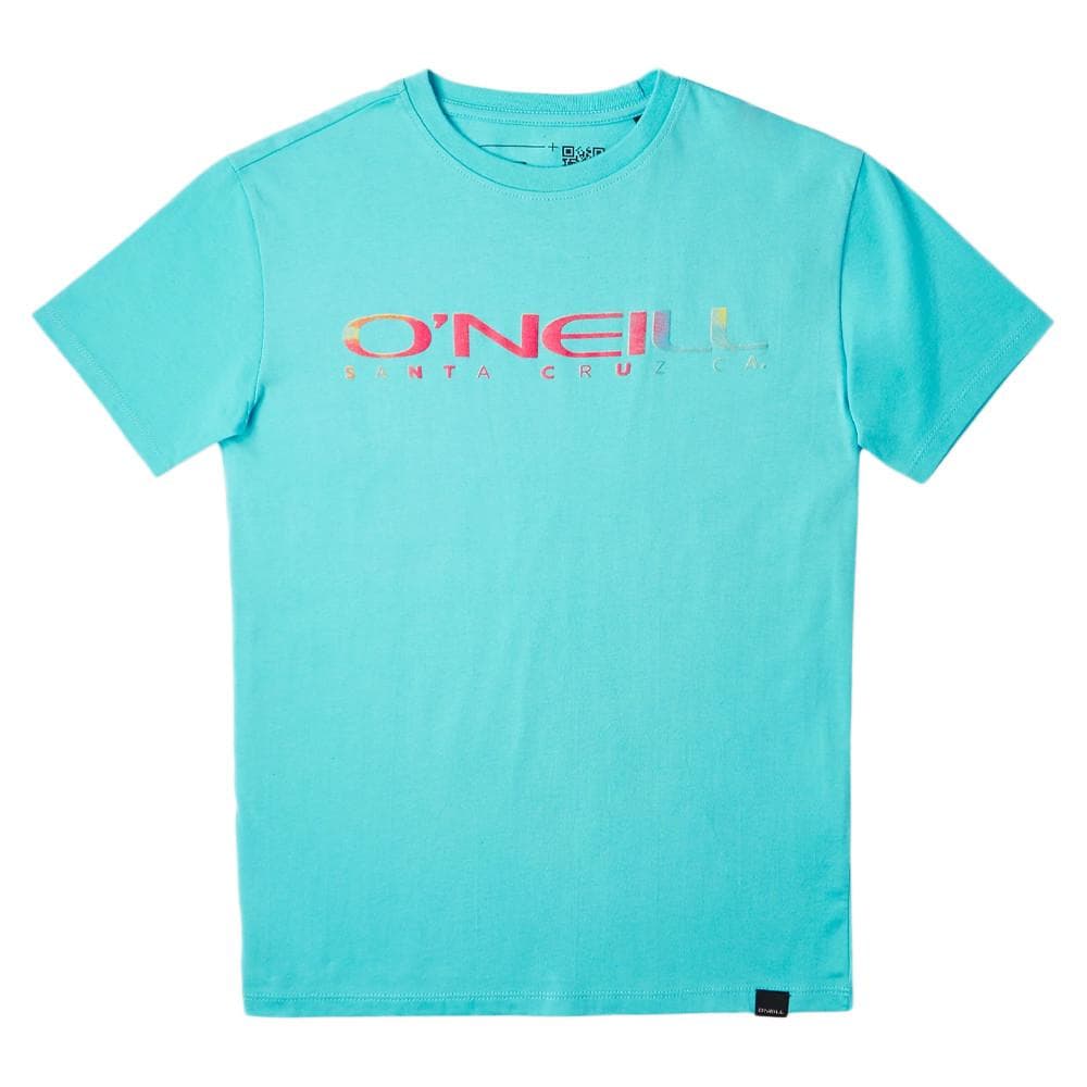 T-shirt Turquoise Garçon O'Neill Sanborn 1