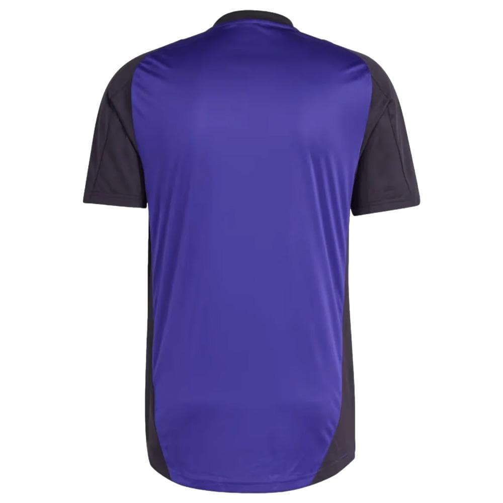 Allemagne Maillot Training Homme Adidas 2024 2