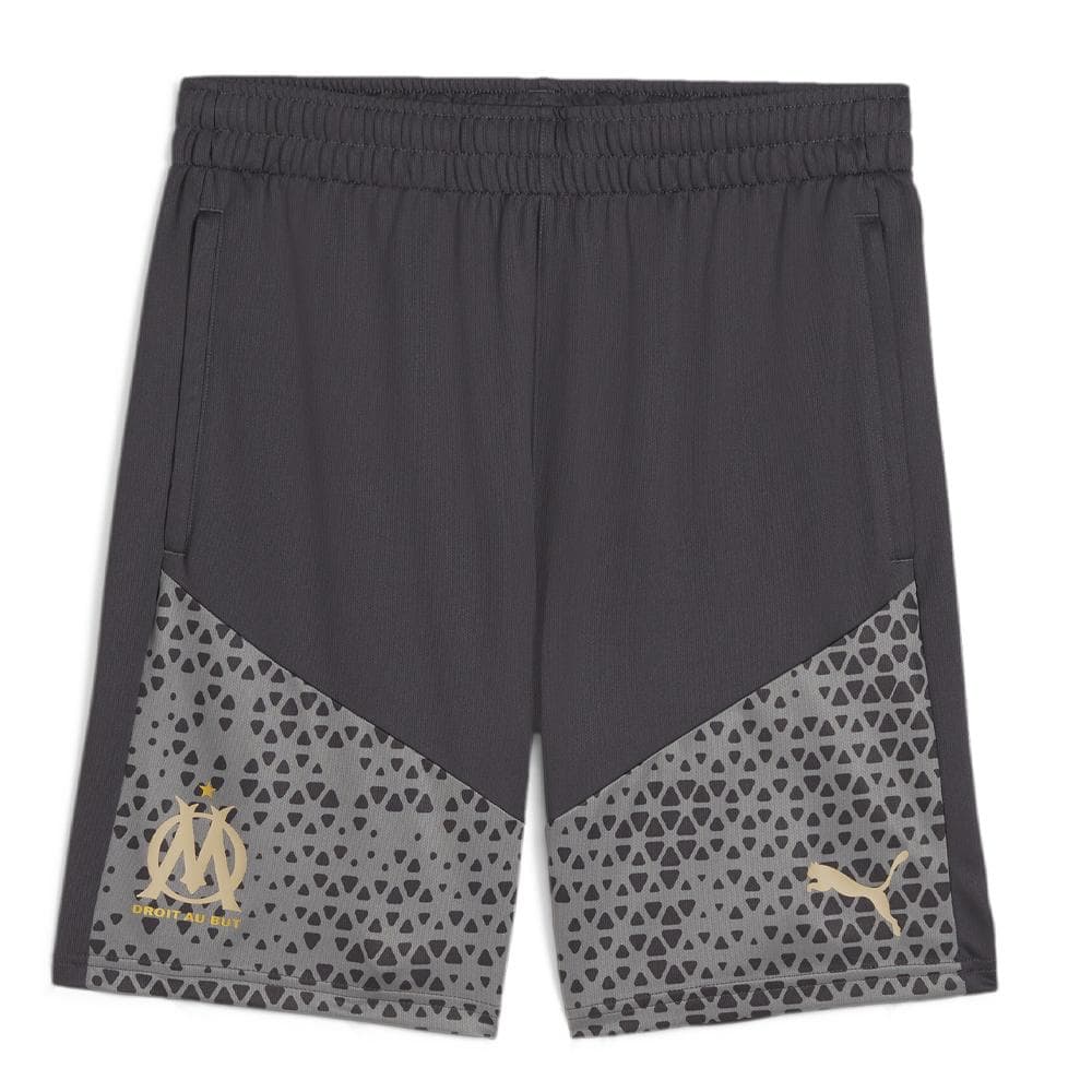 OM Short de Foot Gris Homme Puma Training 2023/24 1