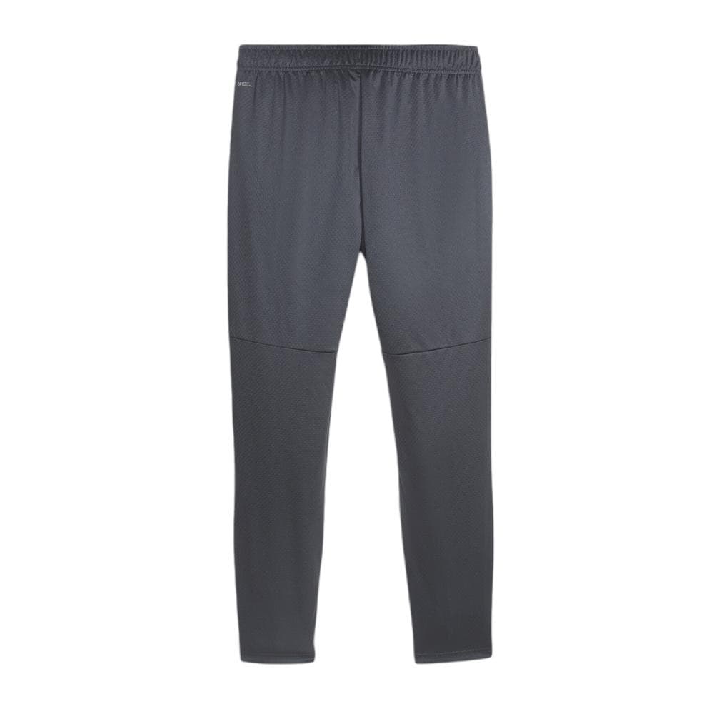 MANCHESTER CITY Pantalon de foot Gris Homme Puma 772864 2