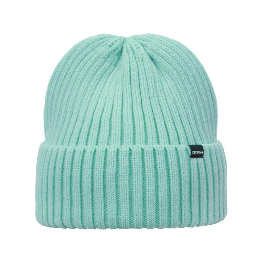 Bonnet Turquoise Homme Icepeak Havre 1