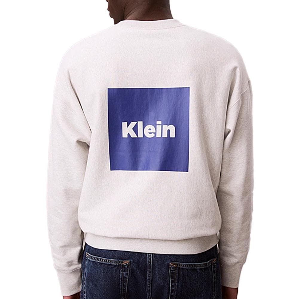 Sweat Gris/Bleu Homme Calvin Klein Jeans LV04RD216G 2