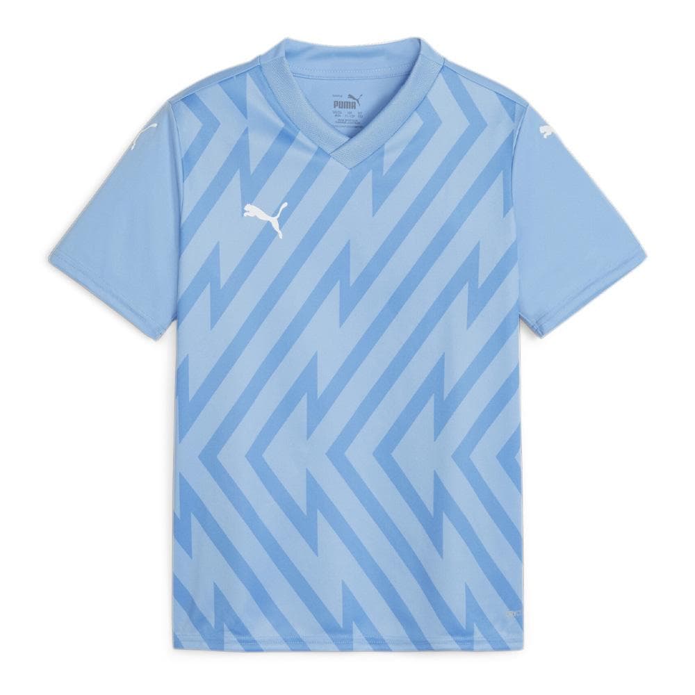 Maillot de football Bleu Garçon Puma Teamglory Jersey Jr 1