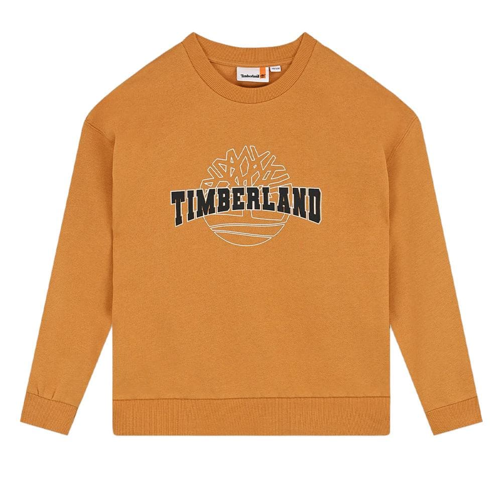 Sweat Jaune Garçon Timberland T60315/589 1