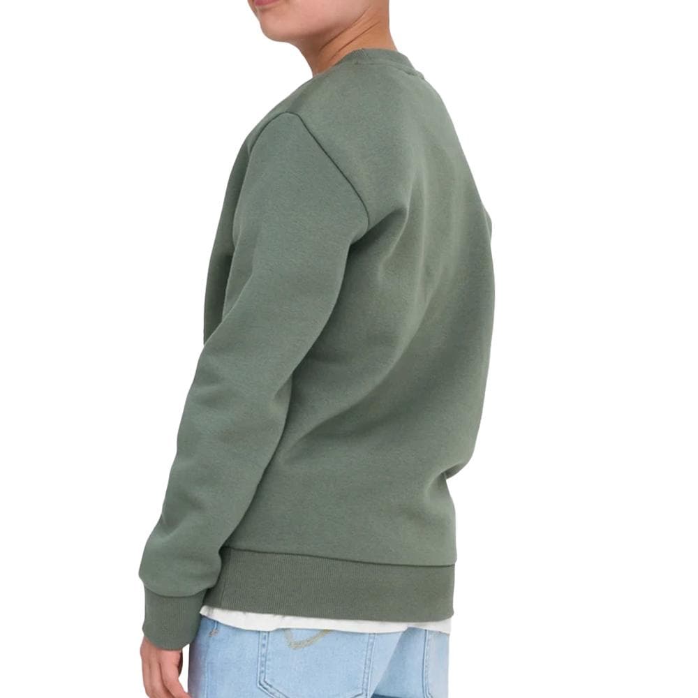 Sweat Vert Garçon Only & Sons Ceres Crew 2