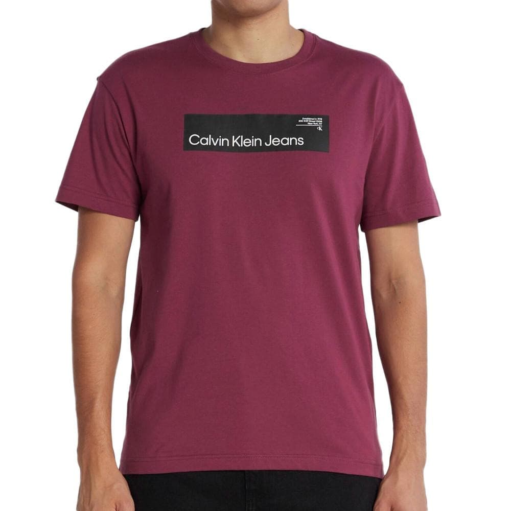 T-shirt Violet Homme Calvin Klein Jeans Hyper Real 1