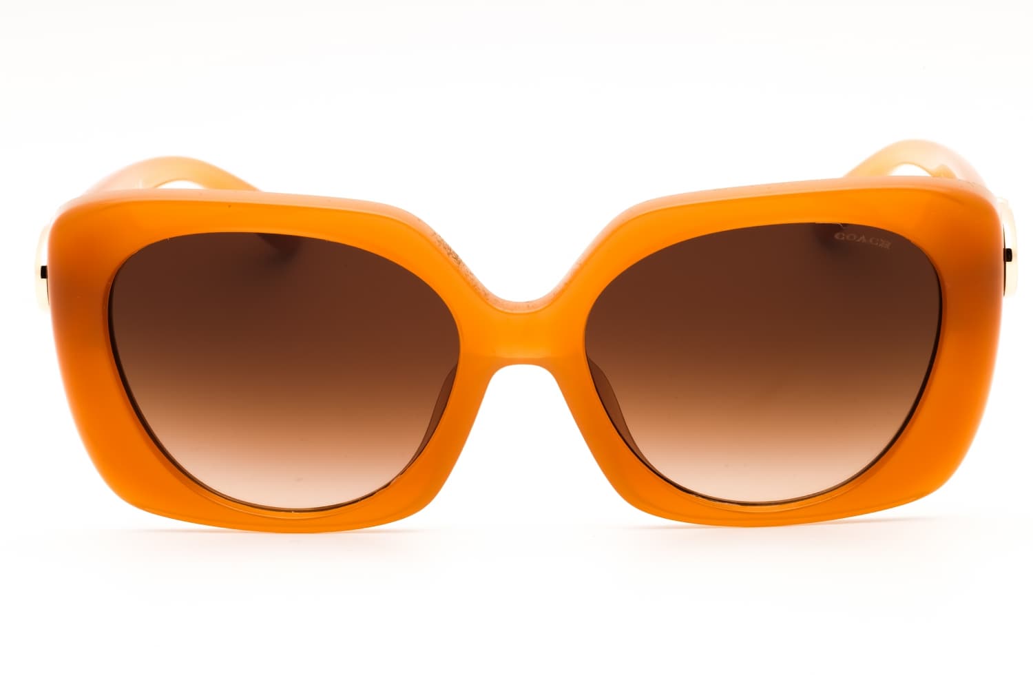 Coach HC8422U — Lunettes de soleil 2